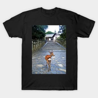 Nara 1 T-Shirt